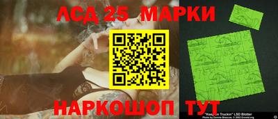 spice Бийск