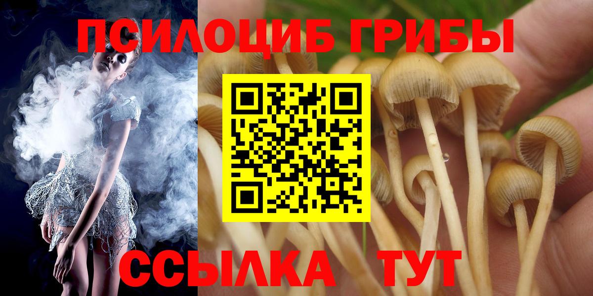 Псилоцибиновые грибы мухоморы  наркошоп  Галлюциногенные грибы Psilocybe  Белорецк  Вход с VPN 