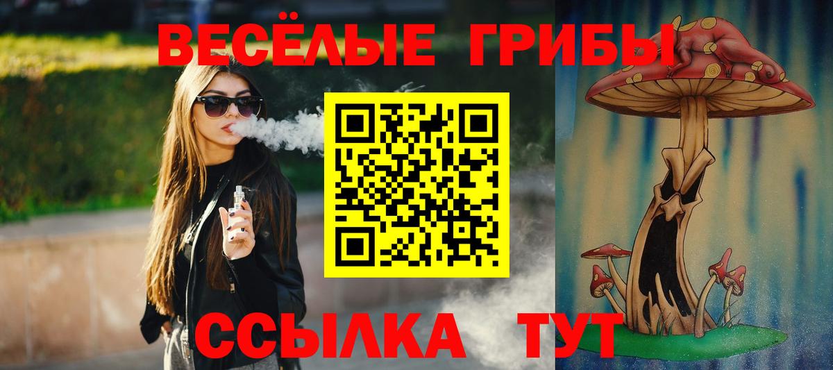 Псилоцибиновые грибы мицелий Белорецк